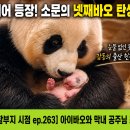 바오 - 남양주시 진건오남로 59 | 바오