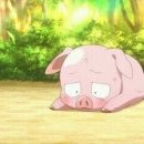 연세차오름의원 이미지