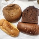 오천1길 | [일상기록] 그리고 갑차기스러운데 2026년 취소해도 돼? (주토피아2 후기, 리리베이커리, 오천 그린광장)