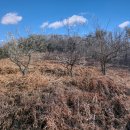 대교경로당 이미지