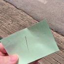 화지회관식육식당 | 광주 전현무계획 애호박국밥 맛집 명화식육식당 주말 웨이팅 솔직 후기