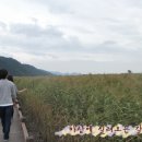 에코문