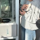 아잉독 애견카페 이미지