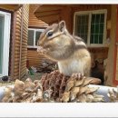 산이슬민박 이미지