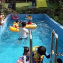 황금수영장 이미지