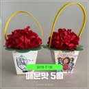 철수파마 | 일상의 조각들 _ 매운맛 5월