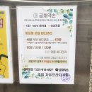 금채약손
