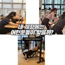 (주)메이저라인 | "내 체형에는 어떤 운동이 맞을까?" 대구 핏라인 필라테스 앤 바레 수성구 중동 봉덕동 수성동 황금동...