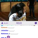류페이스