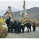 속리산 구병리, 비룡저수지,갈목리,하판리 이미지