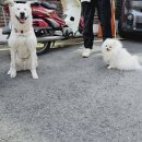 이룸독트레이닝 네이버블로그