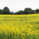 제주 memory 이미지