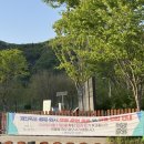 갤러리재인 네이버블로그