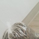 순아네집 네이버블로그