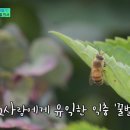 한국양봉농협동물병원
