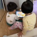 굳통신 | 4-6세 우리아이 공부는 밀크티아이로 선택 (솔직후기)