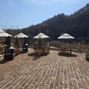 메리클리프 이미지