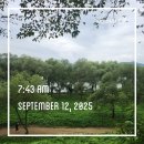 새들의 아침 | 새아침프로젝트후기