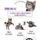 스마트오토 - 남원시 충정로 153 | 스마트오토