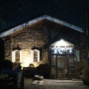 숲속의 섬 이미지