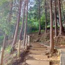 대신공원 매점 옆 이미지