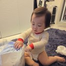 에코쿨잠 | 모모래빗! 여름밤 6번 쉬해도 NO샘!, 쿨잠대장 에코드라이썸머 후기♥