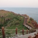 제주초록섬