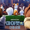 마이펫 이미지