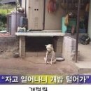 새벽