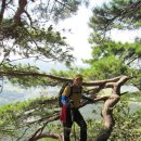 유양2리마을회관 이미지