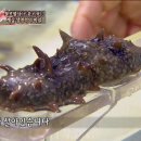 해삼 티스토리