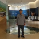 성주성산동고분군전시관 이미지