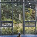 탄산수사우나 | 초정탄산수로 즐기는 초정치유마을, 청주의 웰니스 명소