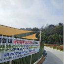 금성천막