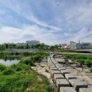유림-18 네이버블로그