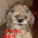 성원2차(아)경로당 | 블챌미루기햇다가다시밀려쓰기시작