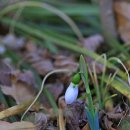 신구대학교 이미지