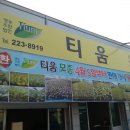 육거리고추 이미지