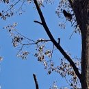 우름바위 이미지