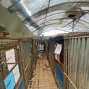 보니하우스 이미지