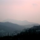 모뜨(motte)