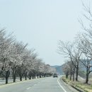 합천 자연학교 에서의 참벗들의 만남 이미지