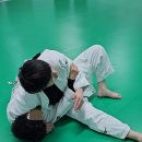 그레이시주짓수경주