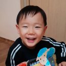 시소동물병원 이미지