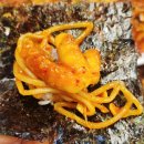 박은자 맛사랑 부천상동점 | 박은자 맛사랑 아구찜 낚지볶음