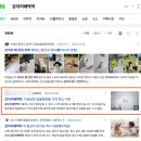 담은동물병원 | 동물병원마케팅, 1년만에 매출 3억 상승 성공사례(with. 주의사항)