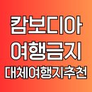 (주)더조은펫타운 | 캄보디아 한국인 납치 여행금지 외교부 대책 총정리 2025