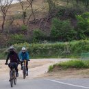 수룡봉황길 이미지