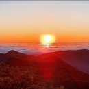 샘물식당 이미지