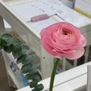 목욕의 정석 이미지